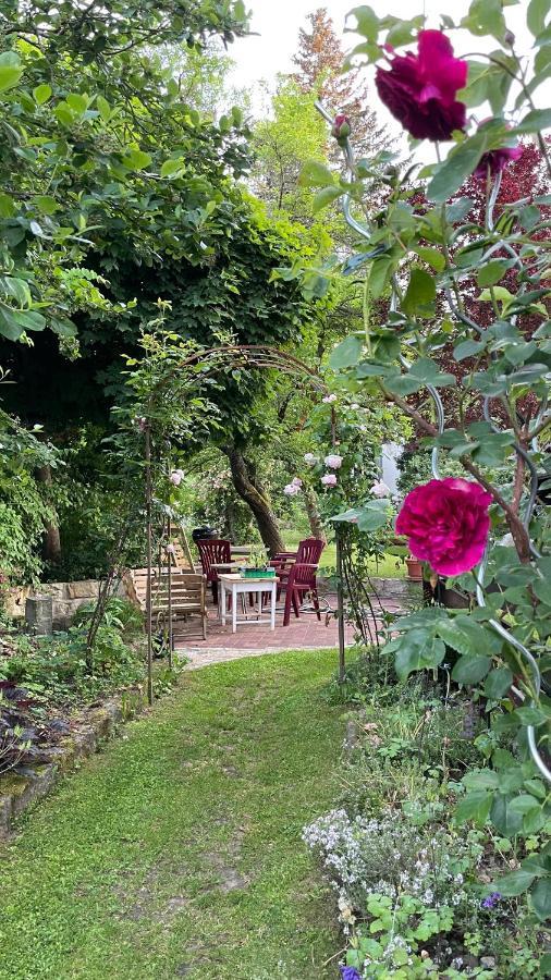 Carolinga Apartment Dresden Ngoại thất bức ảnh