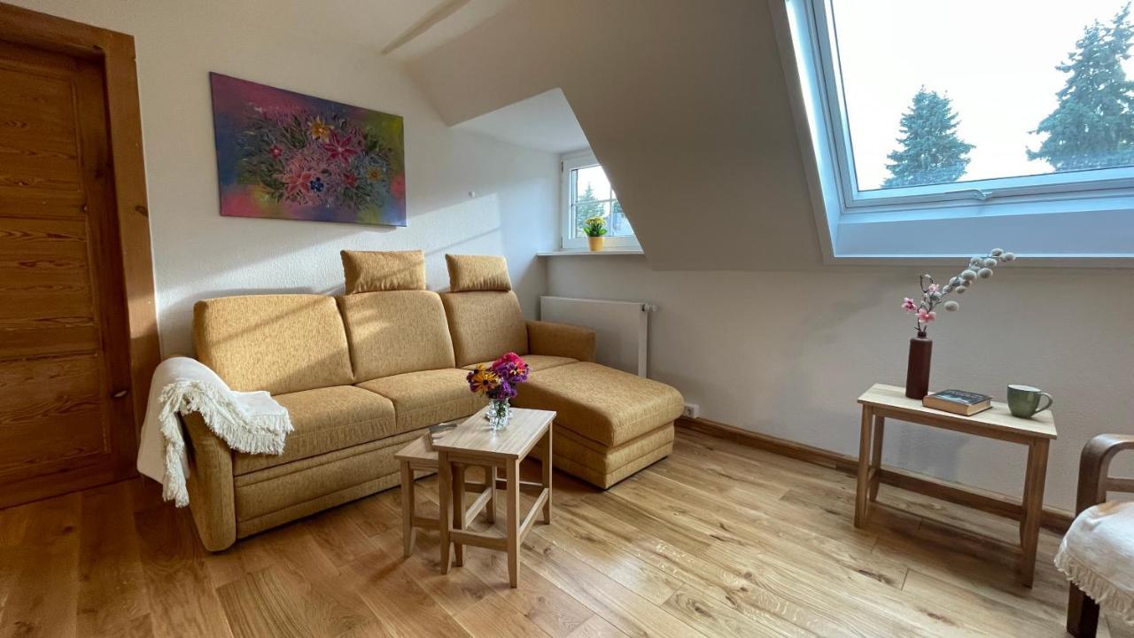 Carolinga Apartment Dresden Ngoại thất bức ảnh